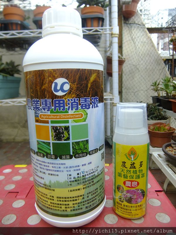 DSCF3436.JPG