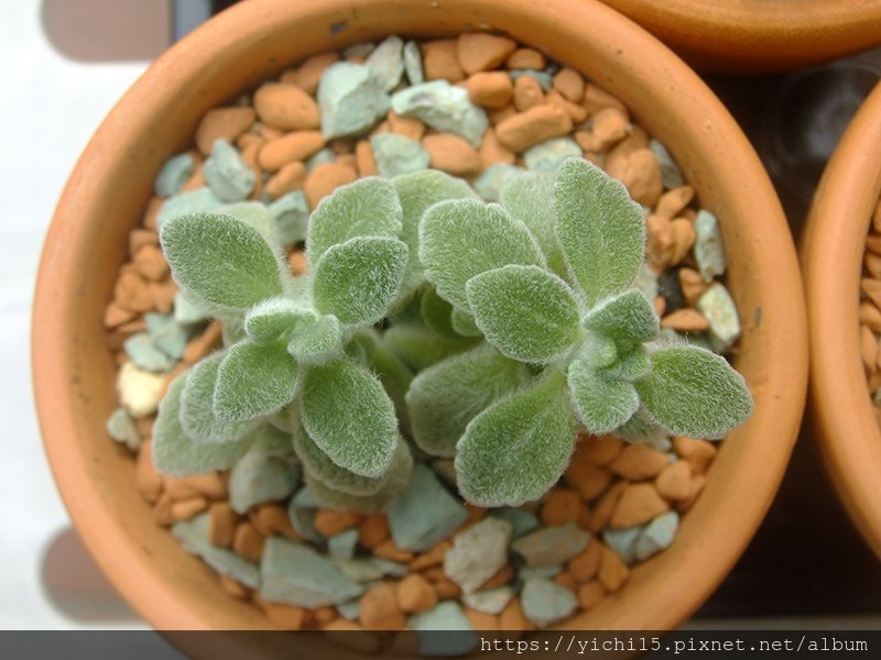 DSCF7166.JPG
