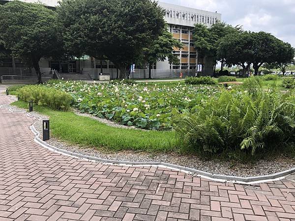 IMG_4296_結果.JPG
