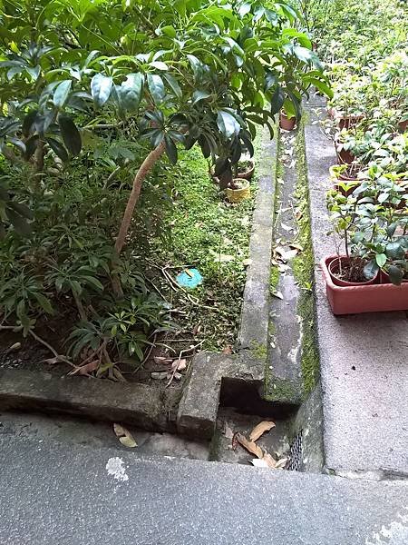 欽差行臺 (11).jpg