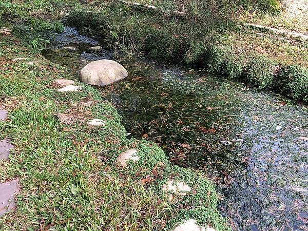 神岡圳前仁愛公園  (5).JPG