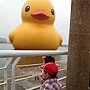 IMG_2020