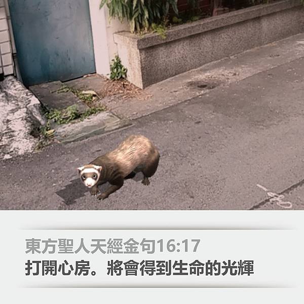 東方聖人天經金句16：17E.jpg