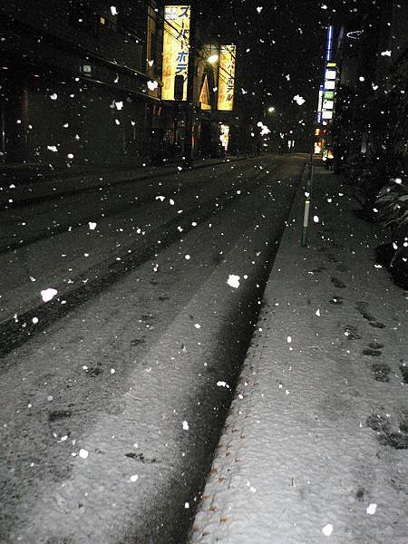 再次強調, 白白的都是雪, 好大片