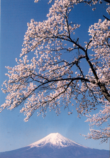 20080407_annkt_tokyo_1.png