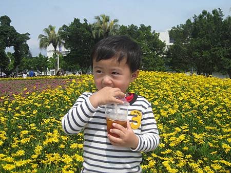 IIMG_0001 (15667).JPG