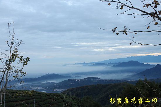 IMG_0306.jpg
