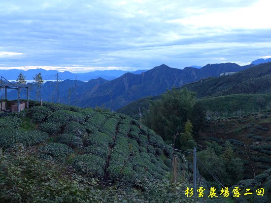 P1080575.jpg