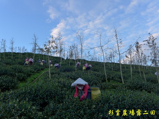 P1080601.jpg