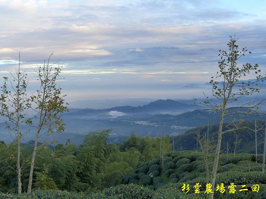 P1080611.jpg