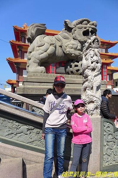 P1110048.jpg