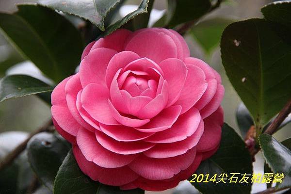 IMG_1406.jpg