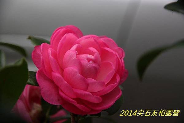 IMG_1487.jpg