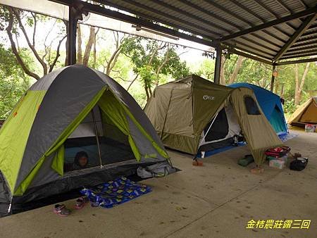P1120181.jpg