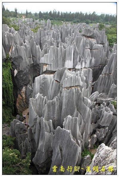 昆明石林 (33).jpg