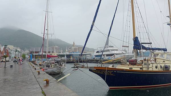 P1190573.jpg