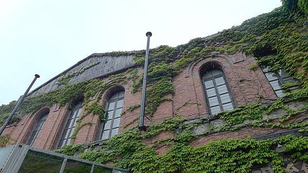 P1190591.jpg