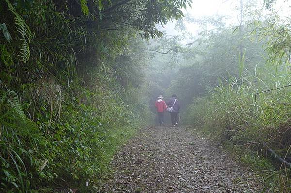 P1190931.jpg