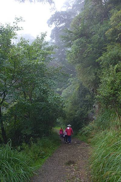 P1190941.jpg
