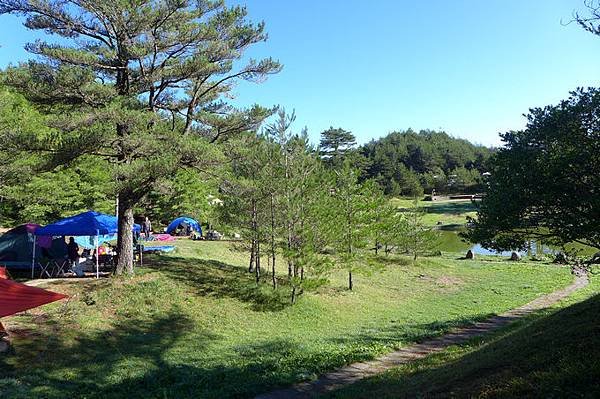 P1200042.jpg
