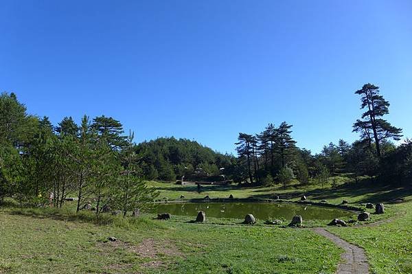 P1200056.jpg