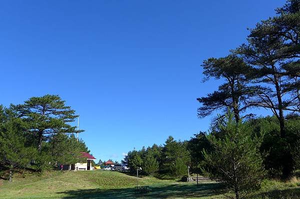 P1200062.jpg
