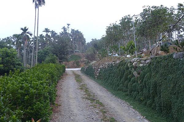 水鄉山岳 (97).jpg