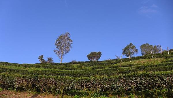 P1250713.JPG