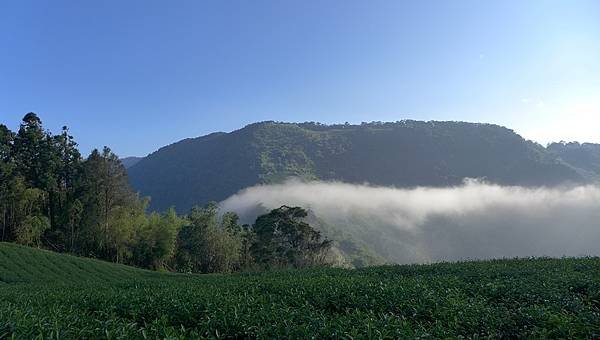 P1250760.JPG