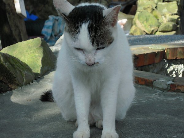DSCN5443.JPG