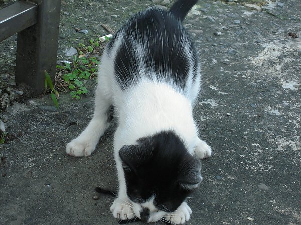 DSCN5567.JPG
