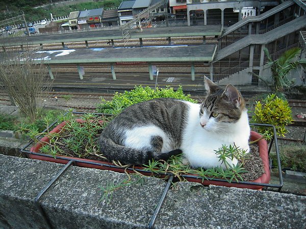 DSCN5497.JPG