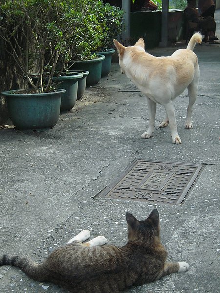 DSCN5581.JPG