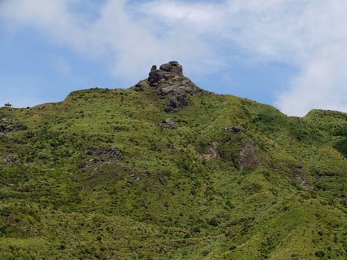 P1010217.jpg