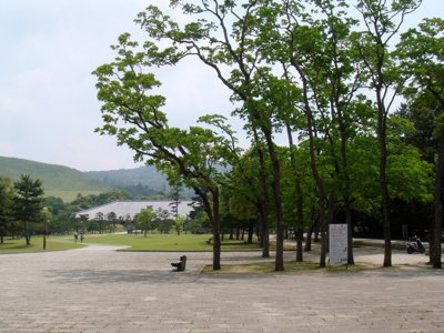 DSC01934.jpg