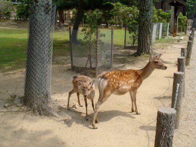 DSC02142.jpg