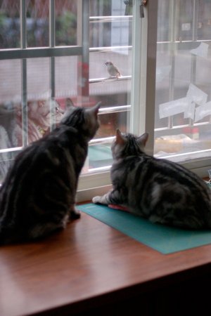 DSC_0204.jpg