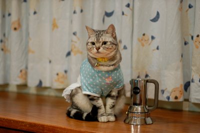 DSC_0173.jpg
