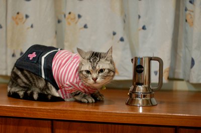 DSC_0286.jpg