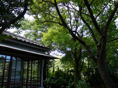 P1010152.jpg