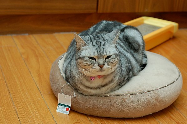 DSC_0917.jpg