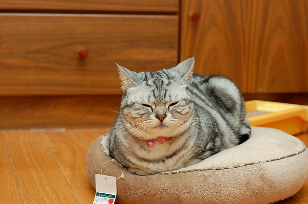 DSC_0918.jpg