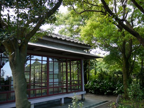 P1010153.jpg