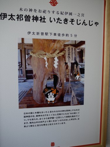 P1020971.jpg