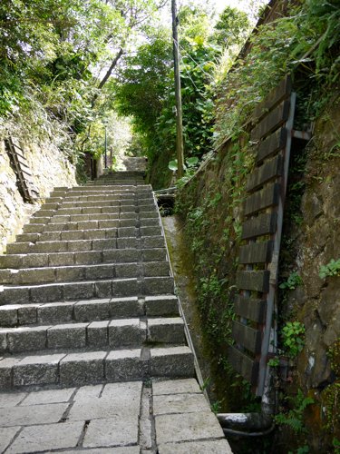 P1010304.jpg