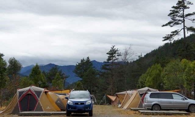 DSC08772.jpg