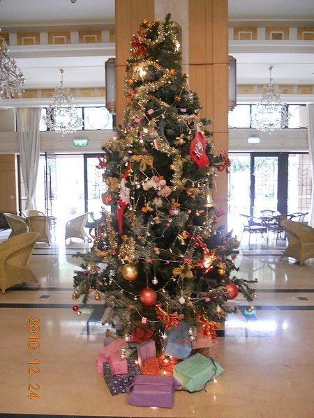 DSCN0206.JPG
