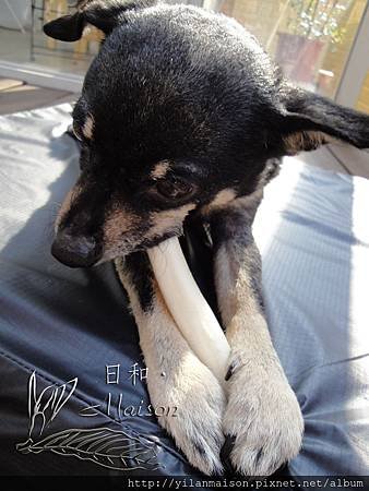 DSC03018拷貝