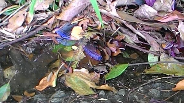 P_20140929_105805.jpg