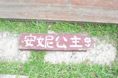 DSC09981.JPG